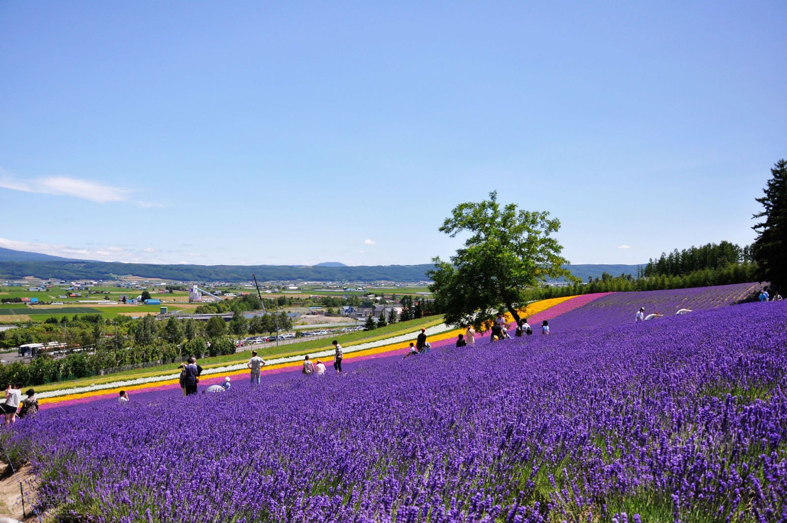 日本五年个人旅游签证