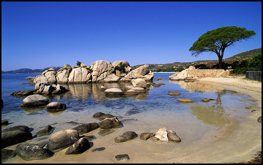 法国探亲访友签证