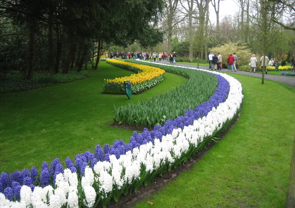 荷兰探亲访友签证